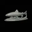 pstruh-klacky-1.gif rainbow trout 2.0 underwater statue detailed texture for 3d printing