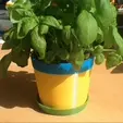 pot-plant-vid.gif Pot Planter US and UK Definition - Basic Planter Pot For A Pot Plant in UK - Or A Pot Plant USA Style