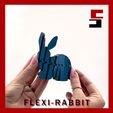 ezgif-2-8f2ca6b2a7.gif Flexi Rabbit
