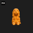 133-Basset_Griffon_Vendeen_Petit_Pose_07.gif Basset Griffon Vendeen Petit Dog 3D Print Model Pose 07