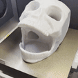 ezgif.com-resize-9.gif STL file MULTIPURPOSE SKULL - NO SUPPORTS・3D printable model to download