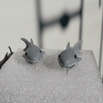 F.gif Shark Earrings- S203D20