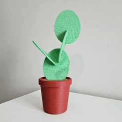 20240404_170235.gif Cactus in a pot Coasters - Commercial License