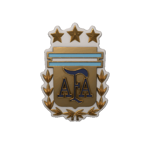 ESCUDO AFA ARGENTINA🏐💙🇦🇷 3D model