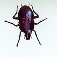 tinywow_VID-M_32029158.gif COCKROACH - DOWNLOAD Cockroach 3d model - animated for blender-fbx-unity-maya-unreal-c4d-3ds max - 3D printing COCKROACH INSECT