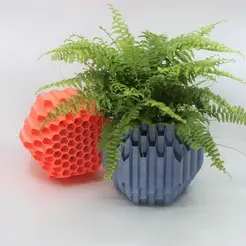 Build.gif STL file Hexagon Overload Self-Watering Planter・3D print design to download