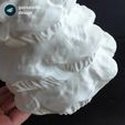 02.gif Файл STL Ваза "гриб абиетинум"・3D-печатная модель для загрузки