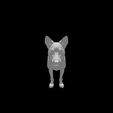 Australian-Dog.mp4 Australian Kelpie Mix 3D Digital Sculpture