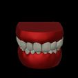 Ld Modèle d'entraînement pour les dents dentaires