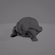 Turtle-Figurine-Presentation-Gif.gif Turtle Figurine