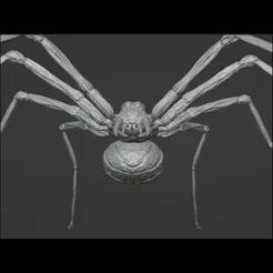 Ag.gif Giant spider