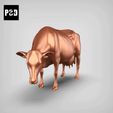 gif.gif dairy cow pose 03