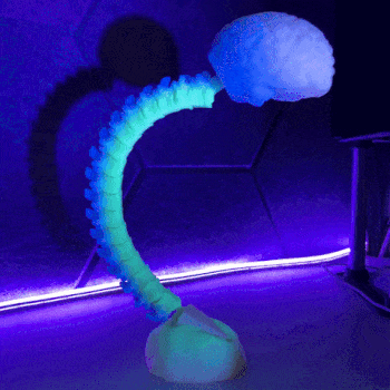 ezgif-1-afd0a273f4.gif Coluna vertebral-cérebro articulado