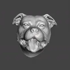 GIF.gif Datei STL DOG HEAD STAFFORSHIRE BULL TERRIER STAFFY PITBULL DOG .obj .stl・Design für 3D-Drucker zum herunterladen