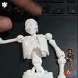 gif1-1.gif OBJ file ARTICULATED PRINT-IN-PLACE SKELETON COCO・3D printable model to download