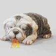 SleepyBabyBully.gif CUTE SLEEPING Baby BULLY-Color VRML PRINT File -DOG BREED - 3D PRINT MODEL