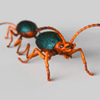 Bombardier-beetles.gif Bombardier beetles