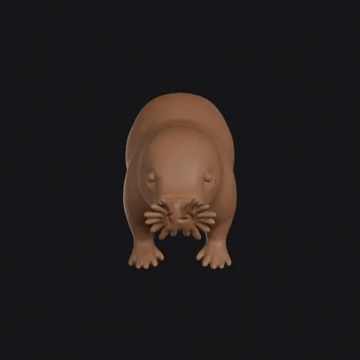 Star-nosed Mole