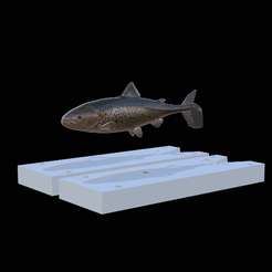 pstruh-kopyto-13cm-ploutev.gif STL file AM bait rainbow trout 2.0 13cm hoof form for predator fishing・3D printing design to download
