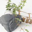 1-GIF-ROCK-SHELVES.gif Rock Shelves (with or without Bridge)