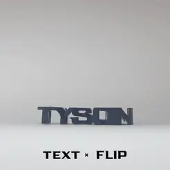 TYSON TEXT « FLIP STL file Text Flip - Tyson・3D printing design to download