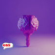 cerebro-render-cults_3.gif brain half split brain