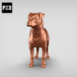 00.gif Archivo STL Patterdale Terrier V1・Plan imprimible en 3D para descargar, peternak3d