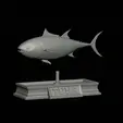 Tuna-model-3.gif fish tuna bluefin / Thunnus thynnus statue detailed texture for 3d printing