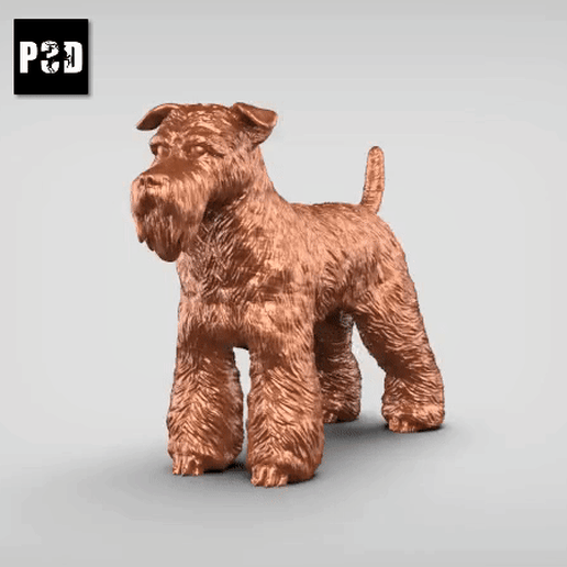 schnauzer V3 3D model