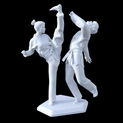 Taekwondo-Lady-3D-model.gif STL file Taekwondo Lady 3D model・3D printing design to download
