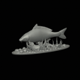carp-high-quality-klacky-1-2.gif big carp 2.0 underwater statue detailed texture for 3d printing
