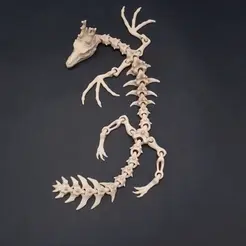 gif.gif flexi wyvern dragon skeleton