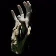 20230924_215038.gif Scary hands