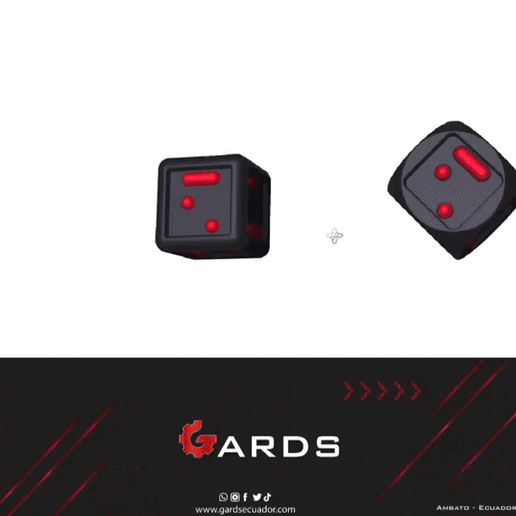 IMG_1982.gif BRAILLE SAYS