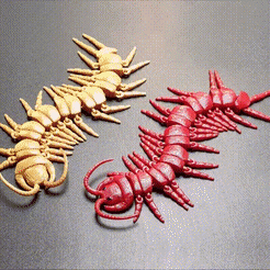 pic01.gif 3D file Centipedes・3D printer design to download, einstein_de