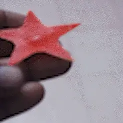 MVI_6353.gif Archivo STL Anzuelo de vacío Starfish・Modelo de impresión 3D para descargar
