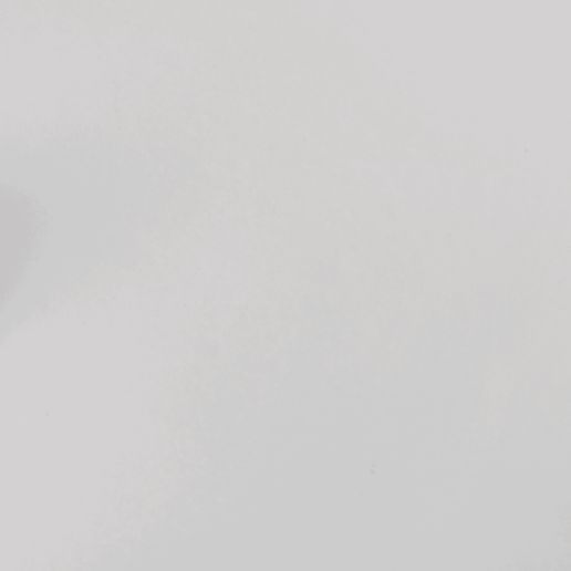 20230223_210025774_iOS.gif Ladybug Flexi