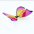 tinywow_MP4_32654561.gif DOWNLOAD BUTTERFLY 3D MODEL - ANIMATED - 3D PRINTING - OBJ - FBX - MAYA - BLENDER 3 - 3DS MAX - UNITY - UNREAL - CINEMA 4D - 3D PROJECT CREATE AND GAME READY BUTTERFLY - DRAGON