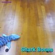 20200820_184640.gif Shark Bones and bonus file Prehistoric rat bones. Updated files