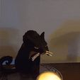 1000007925.gif The Black Cat Candle holder