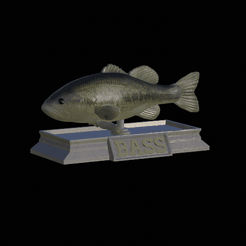 Perch-model-1.gif Fichier STL statue de poisson bass texture détaillée pour l'impression 3d・Modèle pour impression 3D à télécharger