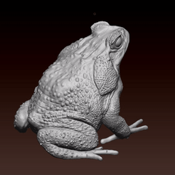 cane_toad_cult.gif STL file cane toad one piece・3D print object to download