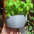 WallMountedPlanter-ProductVid-ezgif.gif GreenLiving Made Simple: SpaceSave WallPlanters for HomeGarden