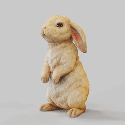 Bunny-Rabbit-Standing-pose.gif STL file Bunny Rabbit Standing Pose- TOOLS ,GARDENING Series・3D print object to download, adamchai