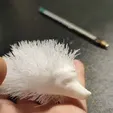 doc_2022-12-21_22-41-04.gif Hairy porcupine, hairy ground hedgehog, tutorial