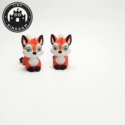 Flexi-Tiny-Fox,-G4.mp4 Flexi Tiny Fox