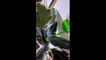 plant-support-v2.gif Base de plantas V2