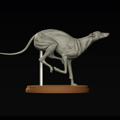 gif.gif STL file Greyhound dog - Perro Galgo・Template to download and 3D print