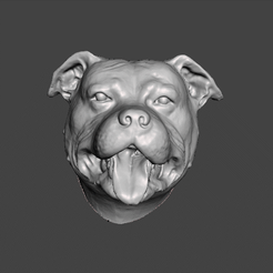 GIF.gif Datei STL DOG HEAD STAFFORSHIRE BULL TERRIER STAFFY PITBULL DOG .obj .stl herunterladen • Design für 3D-Drucker, vadi