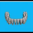Gif-Mandibula.gif Teeth Lower Jaw - Exocad - Robtoly-Unique